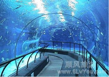 皇家极地海洋馆+冰川野生动物园、棋盘山二日游