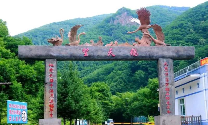 51c7be50dac7f878ed30abc16b08f1b.jpg
